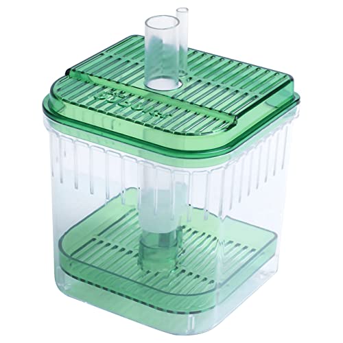 Sadkyer Quadratische Filterbox aus Kunststoff für Aquarium, quadratisch, grün, transparent von Sadkyer