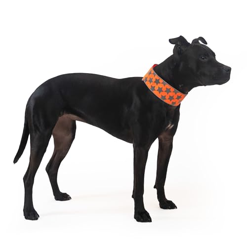 SafetyPUP XD Hundehalsband, reflektierend, fluoreszierend, Orange, mittelgroße und große Haustiere. Hohe Sichtbarkeit, schützt Ihren Welpen vor Autofahrern und Jägern. von SafetyPUP XD