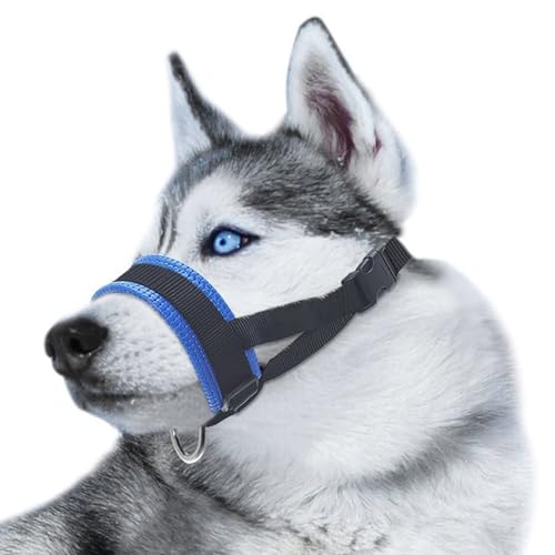 SaiDuoDuo Nylon Hundemaulkorb, Comfort Secure Anti-Barking Hundemaulkorb mit verstellbarem Riemen, Hunde verhindern vor Beißen für mittlere große Hunde,Blau,S von SaiDuoDuo