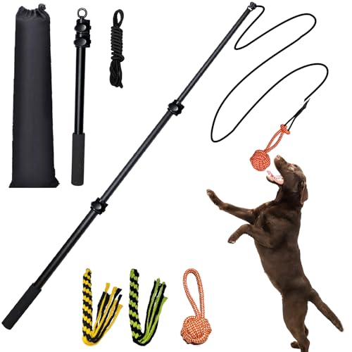 SailStart Flirtstange für Hunde, robust, 101,6 cm, ausziehbar, Aluminiumlegierung, für große, mittelgroße und kleine Schwimmbrillen, interaktives Hundespielzeug für drinnen und draußen von SailStart