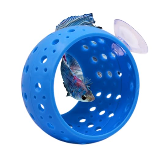 Saim Betta Fischtunnel Spielzeug, Fisch-Lounge Aquarium Betta Fisch Versteck mit Saugnapf Betta Fischhöhle Aquarium Dekor für kleine Fische Garnelen Betta Guppies Verstecken Ausruhen - Blau von Saim