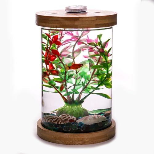 Saim Kleines Betta-Fischtank, Aquarium-Set mit LED-Beleuchtung, Fischglas-Zubehör für Schildkröten, Reptilien, Garnelen, Krabben von Saim