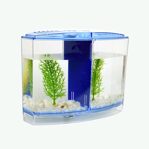 Saim Mini Fischbox, Acryl Brutkasten Brutkasten Zucht Trennwand Aquarium Isolation Box mit 2 Unterteilungen und Pflanze für Fischzucht von Saim