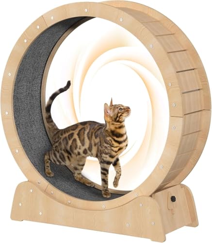 Saimly Katzen-Laufrad für den Innenbereich mit Schloss und minimiertem Spalt-Design, großes Katzenlaufband mit Teppichlaufbahn, Katzenlaufrad für längere Lebensdauer von Saimly