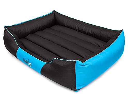 Hundebett Hundesofa Hundekissen mit erhöhte Ränder - XXXL: 140 x 115 x 25 cm, Schwarz + Blau - für kleine, mittelgroße und Ggroße Hunde Hundekörbchen Hundedecke Hundeliege Cord Orthopädisch von Sales Core