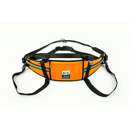 Sali Kuristo Belt Orange Hüftgürtel Canicross Skijöring Dogtrekking (L/XL) von Sali