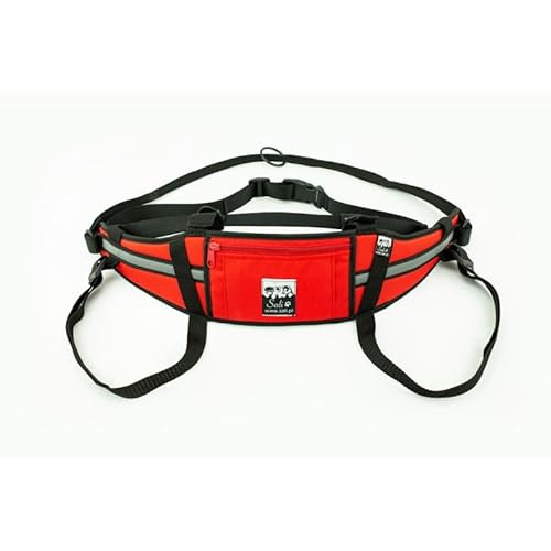 Sali Kuristo Belt Rot Hüftgürtel Canicross Skijöring Dogtrekking (L/XL) von Sali