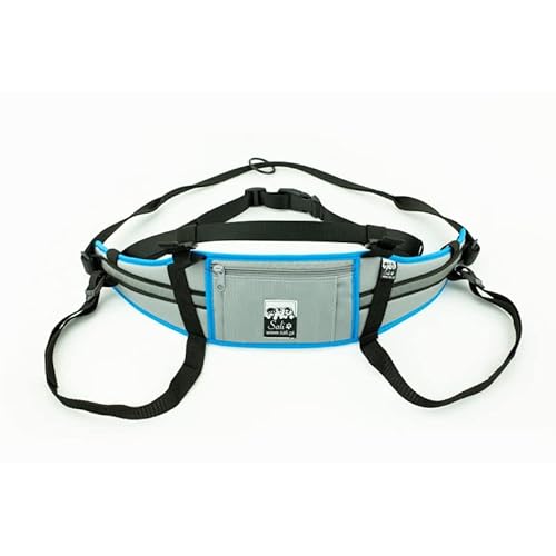 Sali Kuristo Belt Silver/Türkis Hüftgürtel Canicross Skijöring Dogtrekking (S/M) von Sali