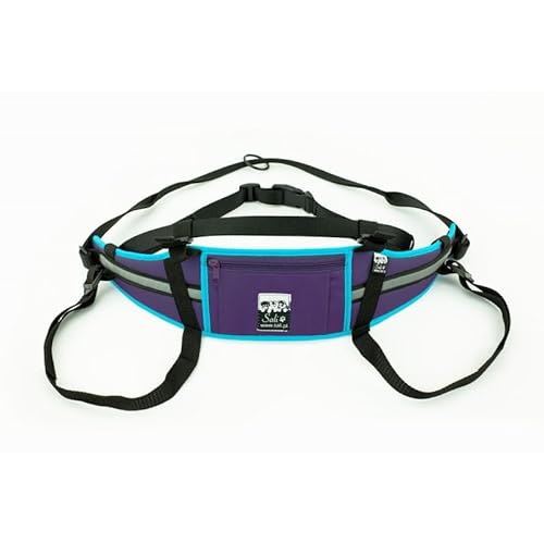 Sali Kuristo Belt Violett/Minze Hüftgürtel Canicross Skijöring Dogtrekking (L/XL) von Sali