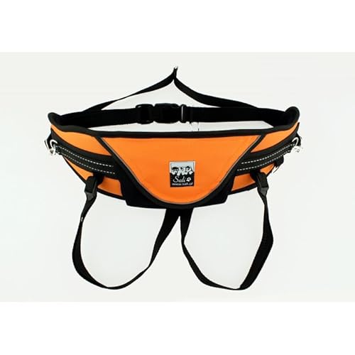 Sali Relax Belt Orange Hüftgürtel Canicross Skijöring Dogtrekking von Sali