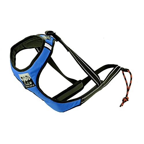 Sali Sport Sled V-Back Harness Blau (L) von Sali