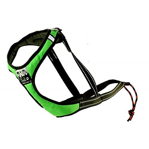 Sali Sport Sled V-Back Harness Grün (M) von Sali