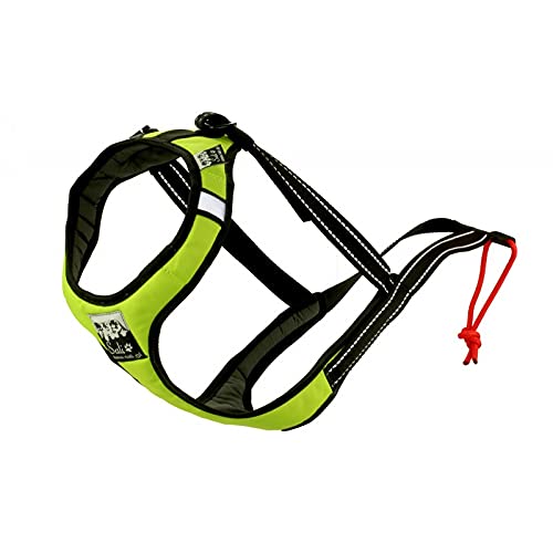 Sali Sport Sled V-Back Harness Kiwi (3) von Sali