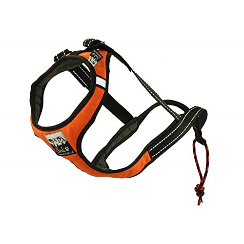 Sali Sport Sled V-Back Harness Orange (M) von Sali