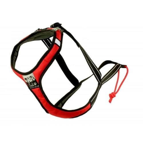 Sali Sport Sled V-Back Harness Rot (L) von Sali