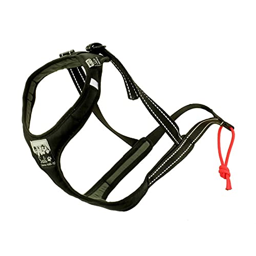 Sali Sport Sled V-Back Harness Schwarz (3) von Sali