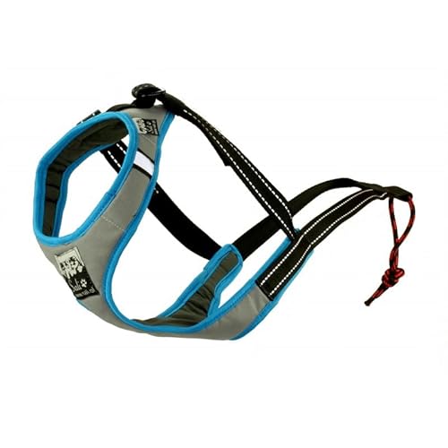 Sali Sport Sled V-Back Harness Silver/Türkis (L) von Sali