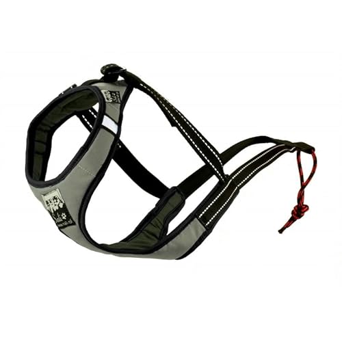 Sali Sport Sled V-Back Harness Silver (L) von Sali