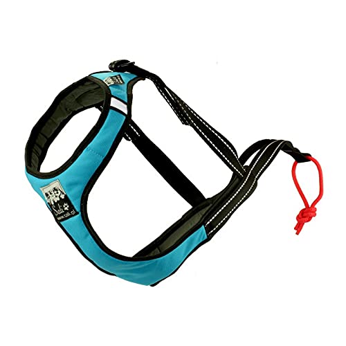 Sali Sport Sled V-Back Harness Türkis (M) von Sali