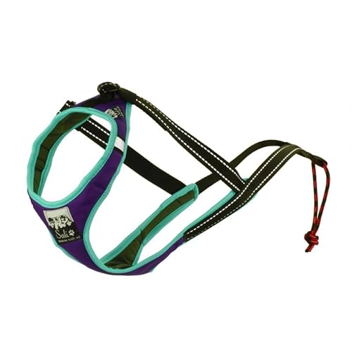 Sali Sport Sled V-Back Harness Violett/Minze (XS) von Sali