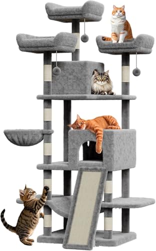 Kratzbaum mit Mehreren Ebenen,für große Katzen im Innenbereich, mit Condo/Plush Sitzstangen/Sisal-Kratzposts/Hammocks/Basketball/Verwicklungskugel/Plattform (60x50x174cm) Kratzbaum mit Mehreren Ebenen,für große Katzen im Innenbereich, mit Condo/Plush Sitzstangen/Sisal-Kratzposts/Hammocks/Basketball/Verwicklungskugel/Plattform (60x50x174cm) von Salutmeuble