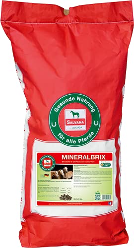 Salvana Mineralbrix Light 25 kg (Sack) von Salvana