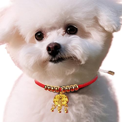 Salyeeluly Hundehalsband für das neue Jahr, Schlangenhalsband, verstellbar, chinesisches Haustierhalsband, Neujahrs-Halskette, , rotes Haustierhalsdekor für Katzen, Kätzchen, Welpen, von Salyeeluly