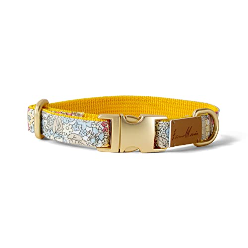 Sam & Maui Hundehalsband, Baumwolle, Blumenmuster, matt, goldfarben, Metallschnalle, 01, Champagner und Blau, Größe XS von Sam & Maui