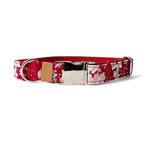 Sam & Maui Hundehalsband aus Baumwolle, mit floralem Muster, glänzende Chrom-Metallschnalle, Größe M, 11 Rot von Sam & Maui