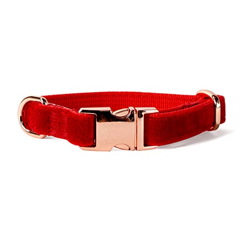 Sam & Maui Hundehalsband aus Samt mit rotgoldener Metallschnalle für kleine Hunde, rot, Größe S von Sam & Maui