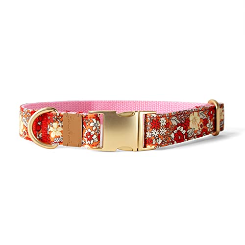 Sam & Maui Hundehalsband mit Blumenmuster, Baumwolle, matt, goldfarben, Metallschnalle, Größe L von Sam & Maui