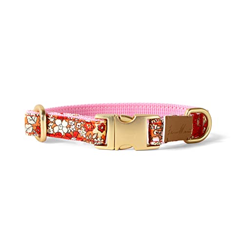 Sam & Maui Hundehalsband mit Blumenmuster, Baumwolle, matt, goldfarbene Metallschnalle, 03-Orange, Größe S von Sam & Maui