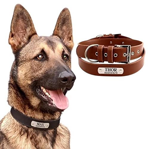 Sama24.nl Hundehalsband mit Name und Telefonnummer - Leder - Hundehalsband mit Erkennungsmarke Lederhalsband Name Braun M von Sama24.nl