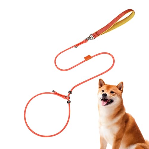 Samuliy Hundeleinen für kleine Hunde, 150 cm, verstellbar, ausbruchsicher, großes Hundegeschirr, Haustier-Nackengurt, verstellbar, um 360 Grad drehbar von Samuliy