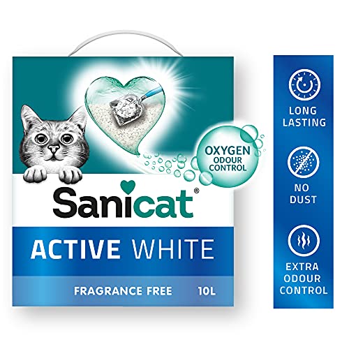 Sanicat Aktiv White ohne Duft, 10 l von Sanicat