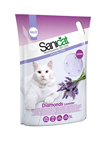 Sanicat Diamonds Lavender 5 L von Sanicat