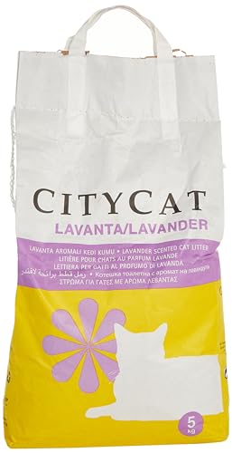 Tolsa Tüte City Cat 5KG SEPIOLITA Aroma von Sanicat