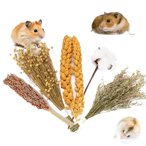 SanmooAio Hamster-Einstreu mit natürlichen Blumen und Kräutern, Lebensraum-Dekor-Sprays für Hamster, Vögel, Zwerge, syrische Rennmäuse, Mäuse, Lemming-Degus oder andere Kleintiere (Kräuter) von SanmooAio