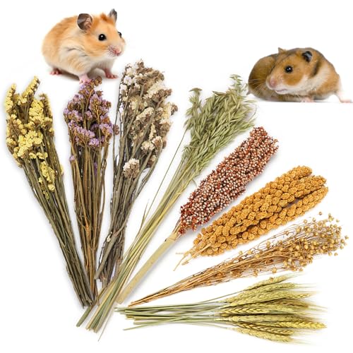 SanmooAio Hamster-Einstreu mit natürlichen Blumen und Kräutern, Lebensraum-Dekor-Sprays für Hamster, Vögel, Zwerge, syrische Rennmäuse, Mäuse, Lemming-Degus oder andere Kleintiere (Mix) von SanmooAio