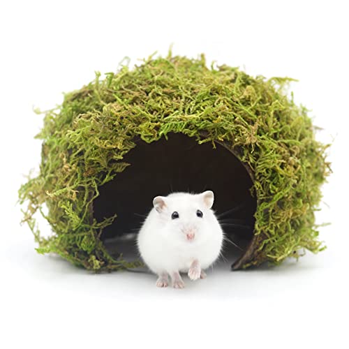 SanmooAio Mossy Cave Hide, Kokosnussschale, grüner Sphagnum, Käfigzubehör für Hamster/Meerschweinchen/Igel/Gleiter/Ratten/Mäuse und andere kleine Tiere (groß) von SanmooAio