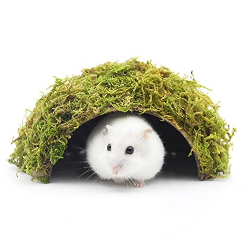 SanmooAio Mossy Cave Hide, Kokosnussschale, grüner Sphagnum, Käfigzubehör für Hamster/Meerschweinchen/Igel/Gleiter/Ratten/Mäuse und andere kleine Tiere (klein) von SanmooAio