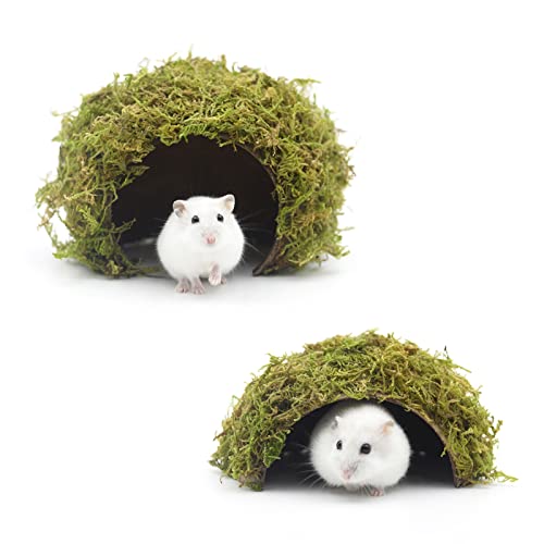 SanmooAio Mossy Cave Hide,Coconut Shell Green Sphagnum, Käfigzubehör für Hamster/Gguinea-Schweine/Igel/Segelflugzeuge/Ratten/Mäuse und andere Kleintiere (Set) von SanmooAio