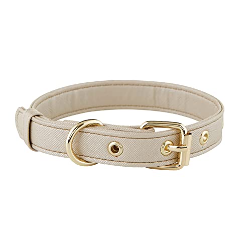 Santa Barbara Design Studio Hundehalsband Halsband, Kunstleder, 25,4 cm – 38,1 cm, Größe L, Champagner von Santa Barbara Design Studio