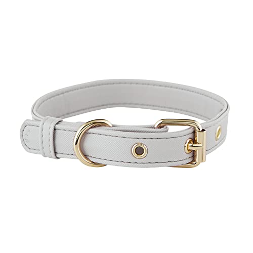 Santa Barbara Design Studio Hundehalsband, Kunstleder, 25,4 cm – 38,1 cm, Größe L, Grau von Santa Barbara Design Studio