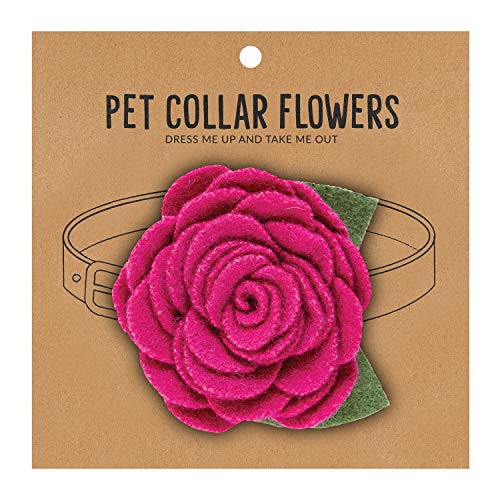 Santa Barbara Design Studio Pet Collection Blumenhalsband, 4,4 cm Durchmesser, Magenta von Santa Barbara Design Studio