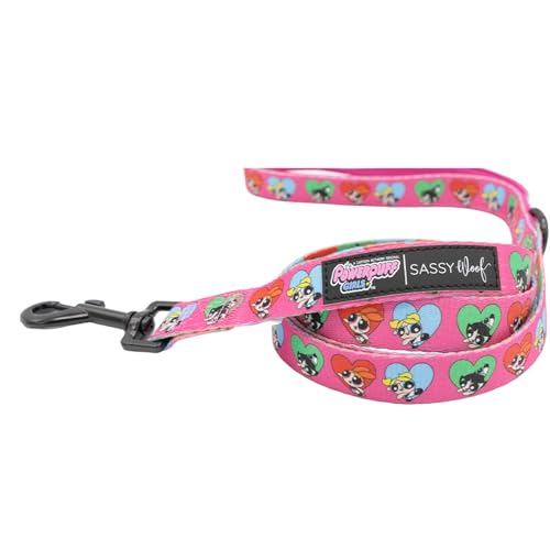 Sassy Woof Die Powerpuff Girls™ Hundeleine (Love), 152,4 cm, mit patentiertem Design und Neopren-gepolstertem Griff, bequem, langlebig und stilvoll für kleine bis große Hunde von Sassy Woof