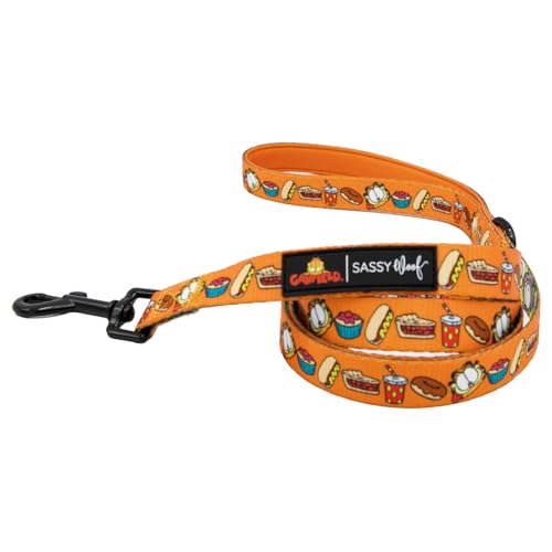 Sassy Woof Garfield™ Hundeleine, 152,4 cm, mit patentiertem Design und Neopren-gepolstertem Griff, bequem, langlebig und stilvoll für kleine bis große Hunde von Sassy Woof