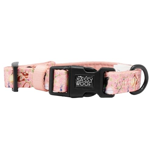 Sassy Woof Hundehalsband Disney Prinzessin Mulan - M, verstellbar, langlebig, bequem und stilvoll, Haustierzubehör für mittelgroße Hunde - offiziell lizenziert von Sassy Woof