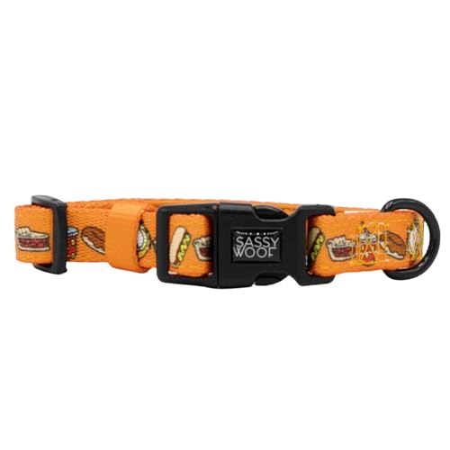 Sassy Woof Hundehalsband Garfield™ – M, verstellbar, langlebig, bequem und stilvoll, Haustierzubehör für mittelgroße Hunde – offiziell lizenziert von Sassy Woof