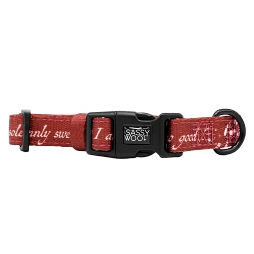 Sassy Woof Hundehalsband Harry Potter™ Karte des Rumtreibers, L, verstellbar, langlebig, bequem und stilvoll, Haustierzubehör für große Hunde, offizielles Lizenzprodukt von Sassy Woof